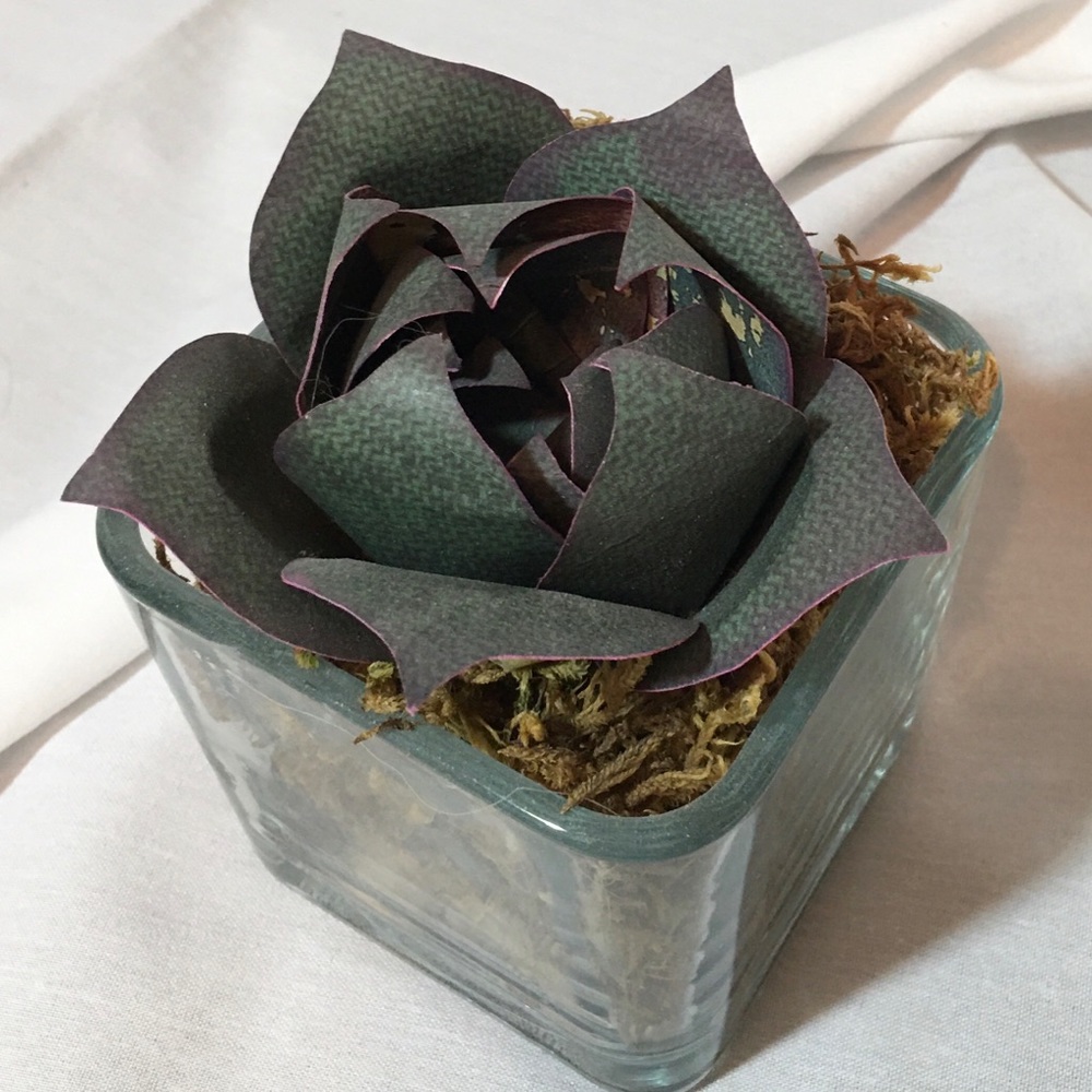 Cactus paper handmade glass holder
